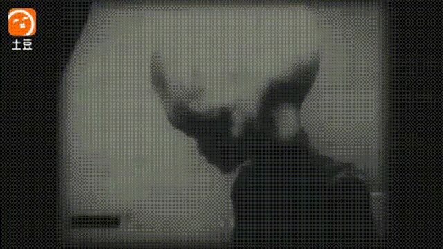 震惊！外星人也许早已来到地球501 / 作者:5623178 / 帖子ID:60225