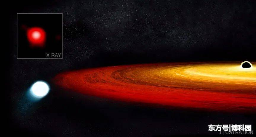 2.5亿光年外，一颗恒星在黑洞中幸存下来831 / 作者:renew / 帖子ID:61064