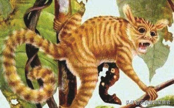 人类起源发源地确定中美联合科学家终于发现可能不在非洲就在山西省135 / 作者:liciying / 帖子ID:61456
