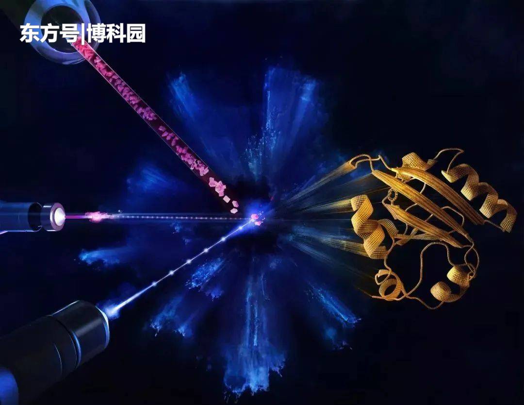 生物过程的秘密！利用中子揭示：氧化酶蛋白高分辨率结构细节！76 / 作者:BKrJSNCZ / 帖子ID:61483