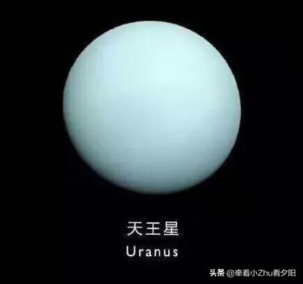 地外生命探索之旅：金发姑娘与水熊虫724 / 作者:顺势而为47 / 帖子ID:61511