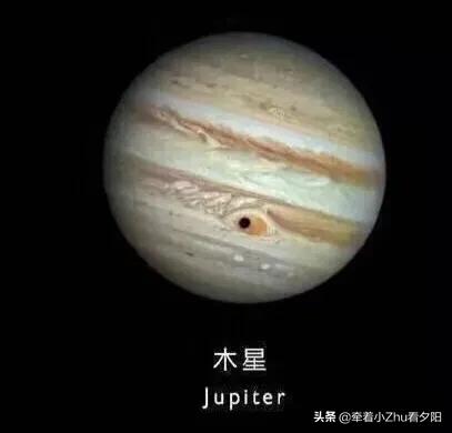 地外生命探索之旅：金发姑娘与水熊虫637 / 作者:顺势而为47 / 帖子ID:61511