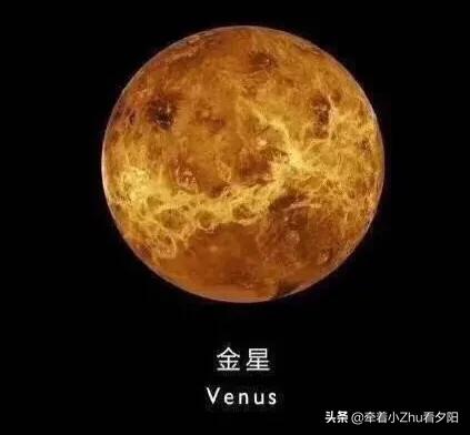 地外生命探索之旅：金发姑娘与水熊虫1000 / 作者:顺势而为47 / 帖子ID:61511