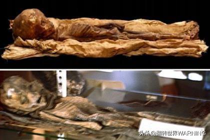 UFO是真的存在吗，那如果外星人来了，我们怎么办呢？496 / 作者:donaldjackie / 帖子ID:61649