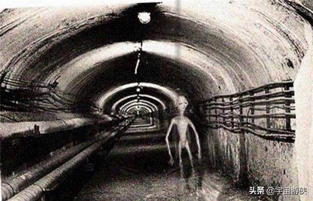 UFO是真的存在吗，那如果外星人来了，我们怎么办呢？444 / 作者:tiantian987 / 帖子ID:61649