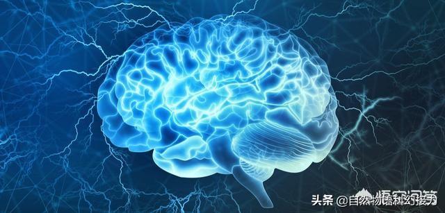 宇宙有没有可能是循环再生的？747 / 作者:donaldjackie / 帖子ID:61661