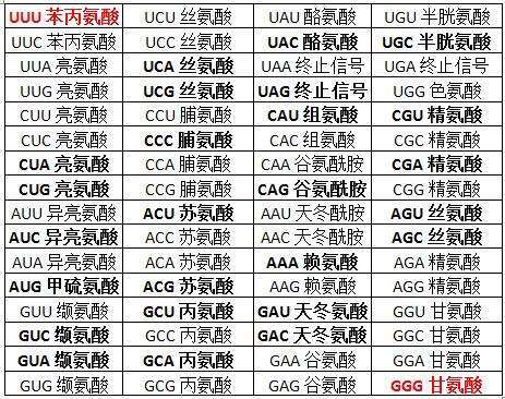 如果木卫二上发现了生命，并且分析发现也是DNA结构，那意味着什么？15 / 作者:cuo.cuo358 / 帖子ID:61876