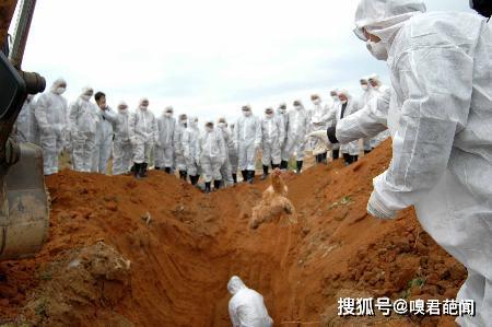 假如疫情是外星人的实验，外星人会从人类的表现，得出什么结论？255 / 作者:伤我心太深 / 帖子ID:62898