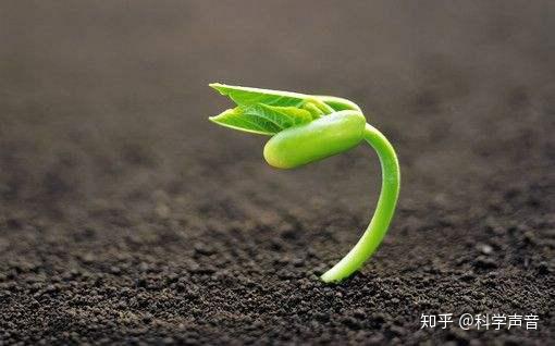 为什么宇宙中的无意识的无机物分子，会在地球上演化出会自主运动的生命，第一个生命是如何真正诞生的?516 / 作者:AgKDjFcG / 帖子ID:62947