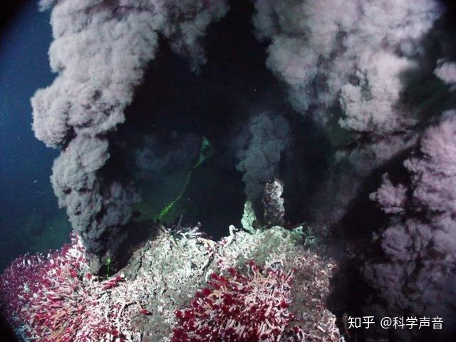 为什么宇宙中的无意识的无机物分子，会在地球上演化出会自主运动的生命，第一个生命是如何真正诞生的?998 / 作者:AgKDjFcG / 帖子ID:62947