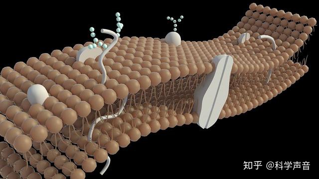 为什么宇宙中的无意识的无机物分子，会在地球上演化出会自主运动的生命，第一个生命是如何真正诞生的?396 / 作者:AgKDjFcG / 帖子ID:62947