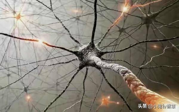 量子力学是不是微观世界里有生命的一种物理现象？819 / 作者:小珍248 / 帖子ID:63154