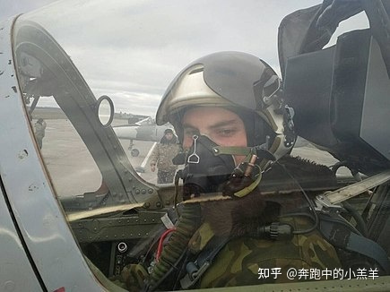 未解之谜之乌萝的飞行员到底损失了多少137 / 作者:素舒 / 帖子ID:95720