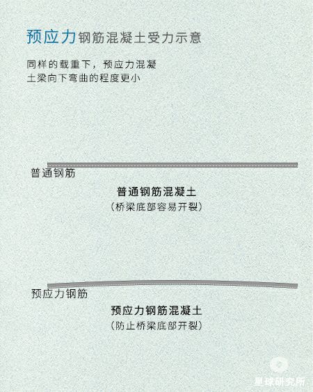 世界上有哪些非常唯美漂亮的桥梁？585 / 作者:福安到安顺屏 / 帖子ID:95737