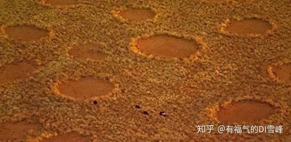 世界上最震撼的66个自然奇观，地球太不可思议了！513 / 作者:福田换奥迪谱 / 帖子ID:95773