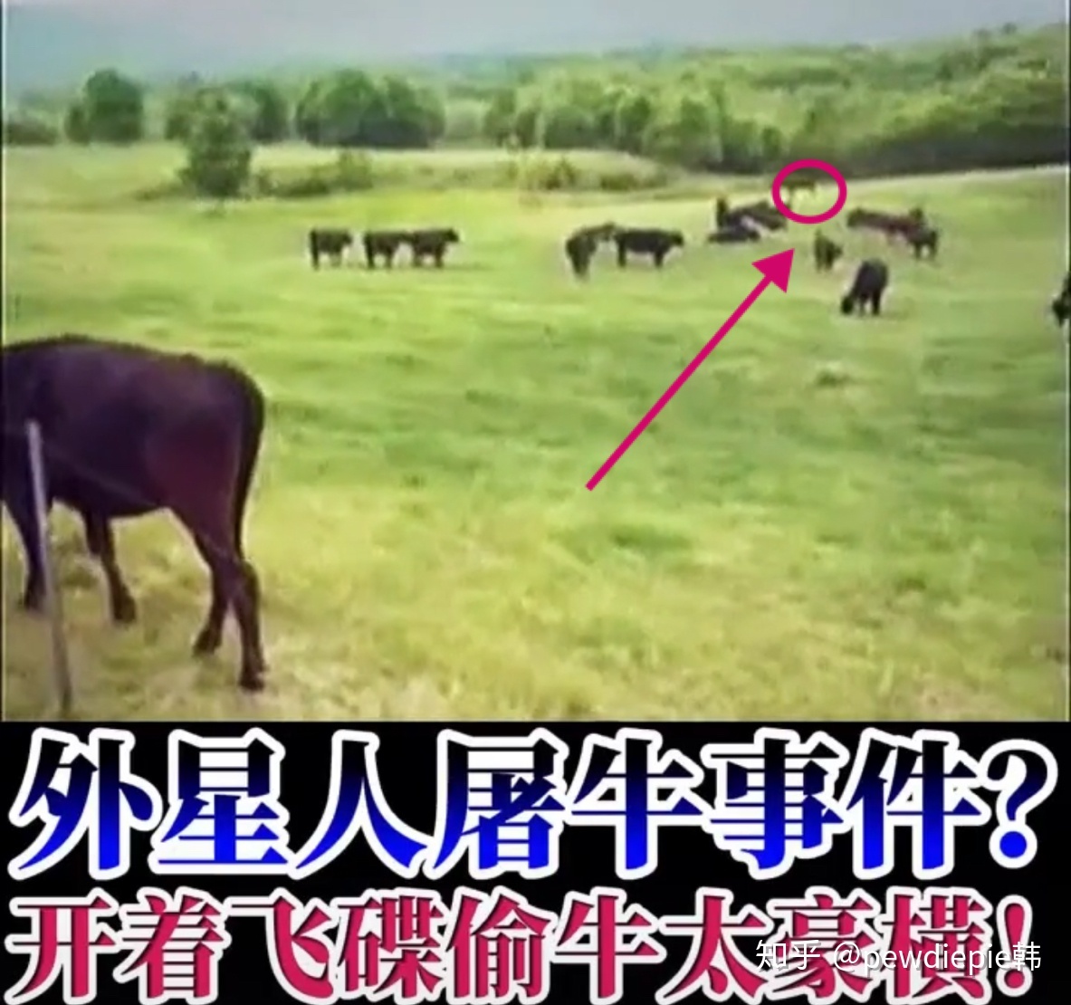 为什么2020年频频出现UFO事件？943 / 作者:城外606 / 帖子ID:95795