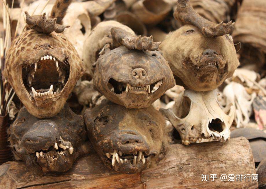 世界上最恐怖的三十个地方，你敢去吗？291 / 作者:紫色214 / 帖子ID:95798