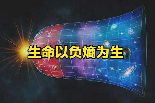 《道德经》：宇宙的本质和存在的意义是什么？463 / 作者:今夕何夕535 / 帖子ID:95808