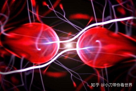 物理学中最重要的18个未解之谜178 / 作者:Amy570 / 帖子ID:95825