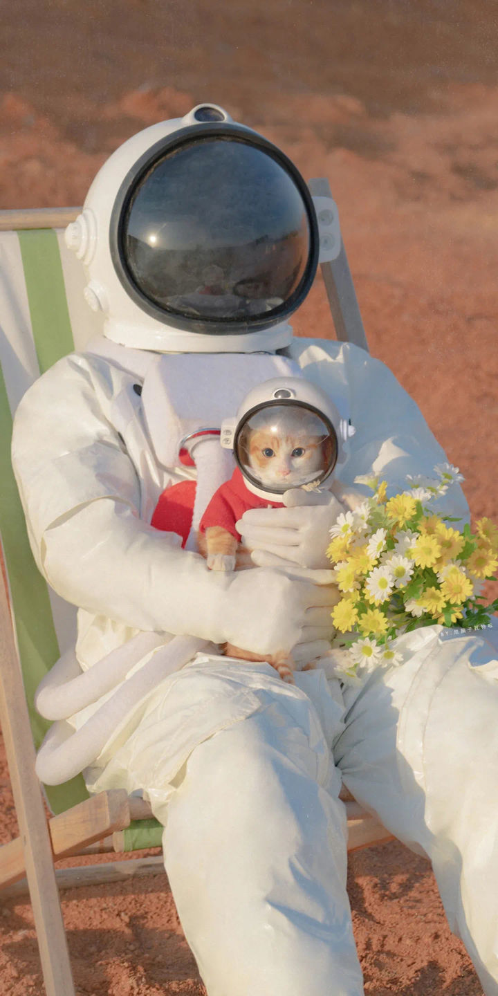 有哪些关于宇宙的浪漫句子？818 / 作者:塔米酉 / 帖子ID:95830