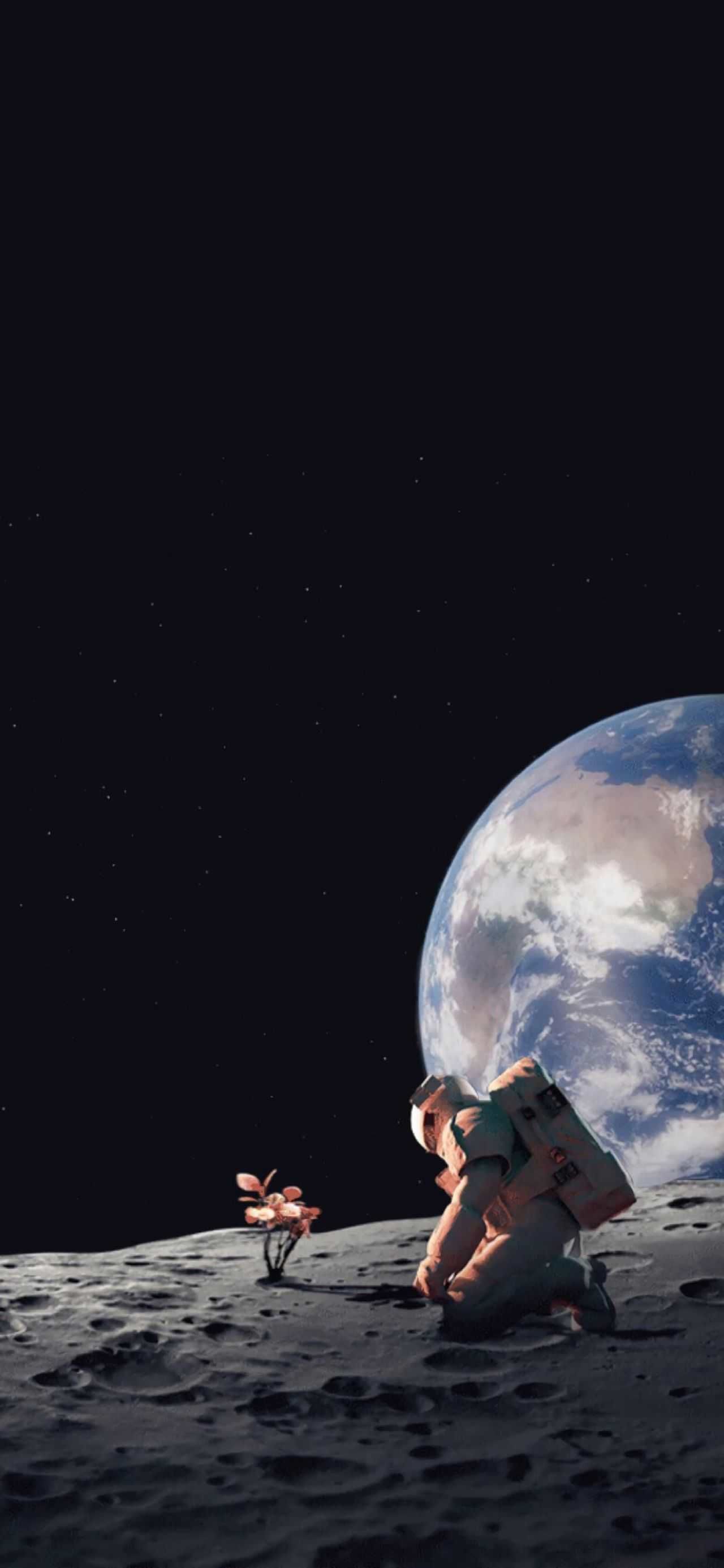 有哪些关于宇宙的浪漫句子？670 / 作者:塔米酉 / 帖子ID:95830