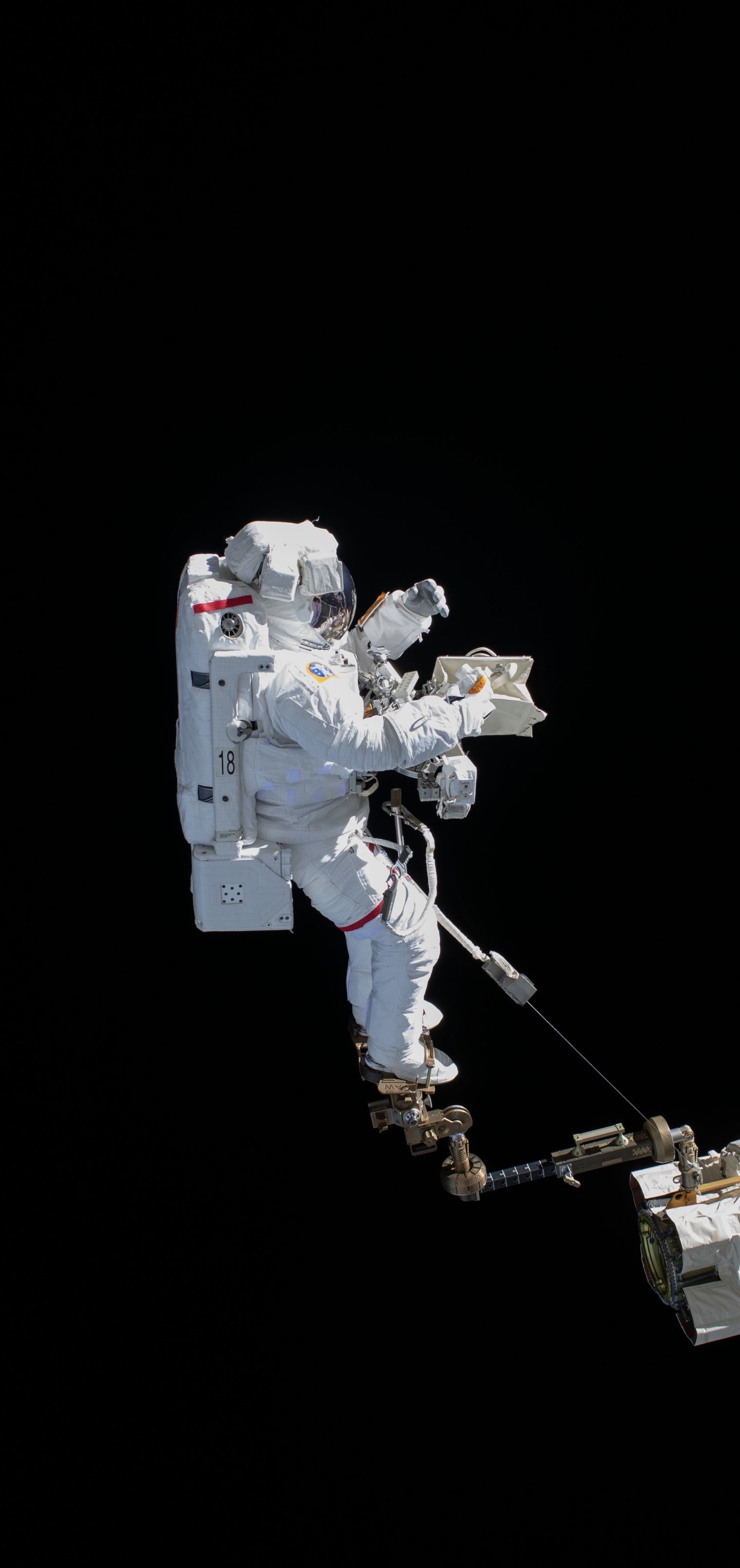 有哪些关于宇宙的浪漫句子？856 / 作者:塔米酉 / 帖子ID:95830