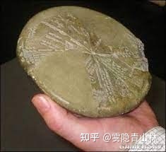 世界十大未解之谜已破解7个！最后三个一个比一个玄！864 / 作者:ty实话实说2017 / 帖子ID:95847