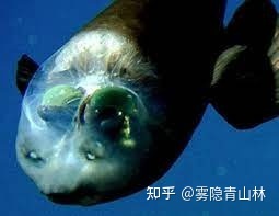 世界十大未解之谜已破解7个！最后三个一个比一个玄！972 / 作者:ty实话实说2017 / 帖子ID:95847