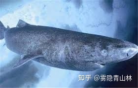 世界十大未解之谜已破解7个！最后三个一个比一个玄！114 / 作者:ty实话实说2017 / 帖子ID:95847