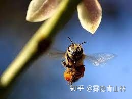 世界十大未解之谜已破解7个！最后三个一个比一个玄！412 / 作者:ty实话实说2017 / 帖子ID:95847