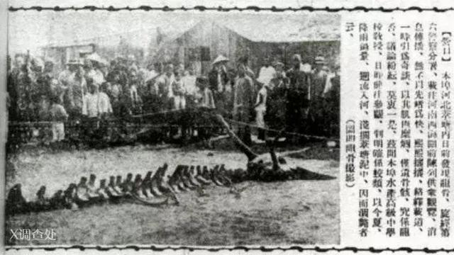 近百年来，世界15大未解之谜！204 / 作者:晓晓红青蜓吧 / 帖子ID:95849