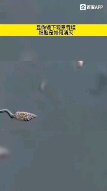 人类现在有没有可能是宇宙中最高等的文明？840 / 作者:123457524 / 帖子ID:95876