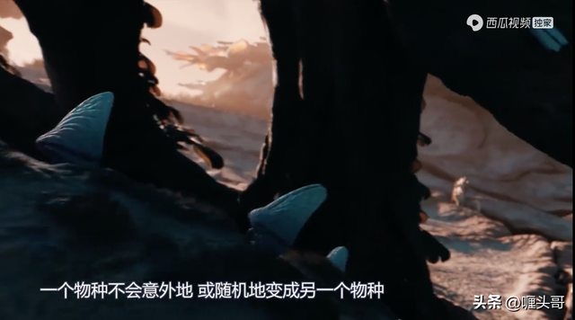 外星人访谈录：地球为什么重要？所有生命是他们创造的，可信吗？863 / 作者:念佳泽 / 帖子ID:95930