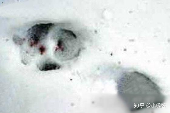 震惊世界！历史十大神秘诡异事件329 / 作者:123457927 / 帖子ID:95961