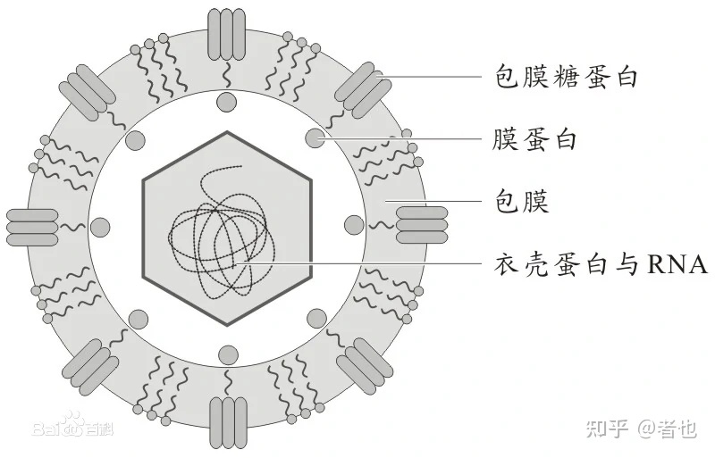 世界上最恐怖的十大病毒：每次爆发几乎可以摧毁人类！470 / 作者:第三只手烈 / 帖子ID:96045