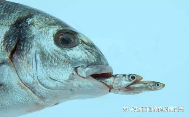 银河系可能还存在着其他的文明吗？78 / 作者:湿湿二 / 帖子ID:96077