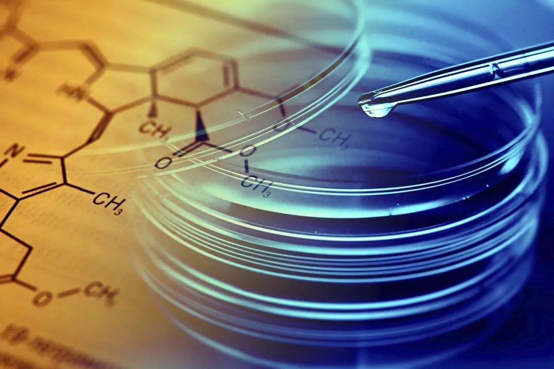 学生物的真实前景——21世纪还是生物的世纪吗？284 / 作者:匣中剑他娘官 / 帖子ID:96080