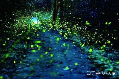 生活中十个科学小知识840 / 作者:静美人2017 / 帖子ID:96081