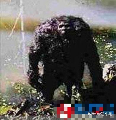 你知道这35个被遗忘的神秘事件吗？115 / 作者:江仅鱼舜 / 帖子ID:96083