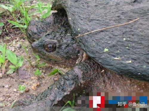 你知道这35个被遗忘的神秘事件吗？314 / 作者:江仅鱼舜 / 帖子ID:96083