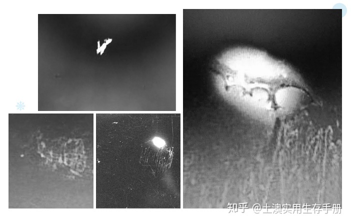 迪亚特洛夫事件大揭秘，十大最诡异的事件之一269 / 作者:涵涵爸爸520 / 帖子ID:96101