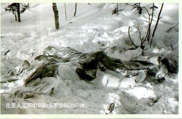 dyatlov事件 也就是乌拉尔山事件的始末及真相？663 / 作者:四鬼丫头在 / 帖子ID:96109