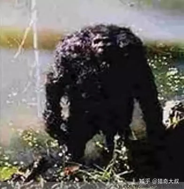 历史上惨遭封杀的神秘事件，胆小者慎入！378 / 作者:没想爱上你堑 / 帖子ID:96132