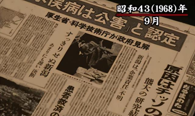 日本“水俣病”事件始末：5万只猫集体跳海自尽，背后隐藏着什么448 / 作者:水银泄地邻 / 帖子ID:96135