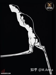 【神秘动物学研究】一些“乱七八糟”的神秘生物（四）1 / 作者:芳芳295 / 帖子ID:96139