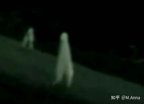 【神秘动物学研究】一些“乱七八糟”的神秘生物（四）429 / 作者:芳芳295 / 帖子ID:96139