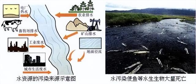 科学知识大全——154 / 作者:精力束台经 / 帖子ID:96185