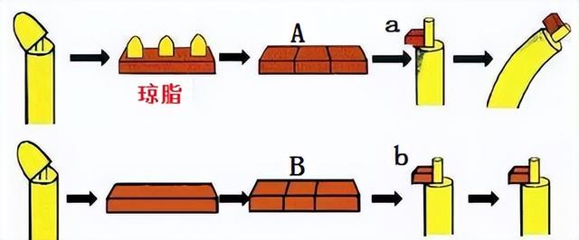 科学知识大全——166 / 作者:精力束台经 / 帖子ID:96185