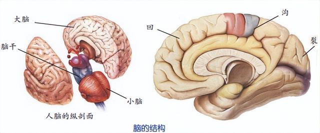 科学知识大全——18 / 作者:精力束台经 / 帖子ID:96185