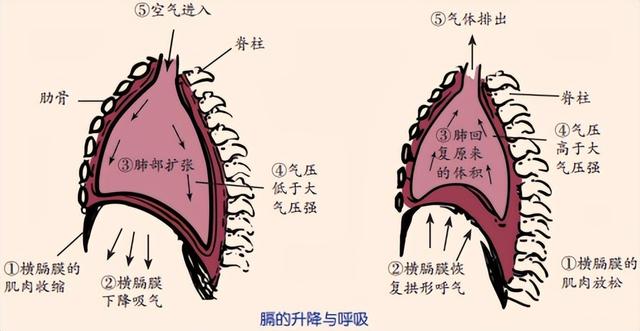 科学知识大全——597 / 作者:精力束台经 / 帖子ID:96185